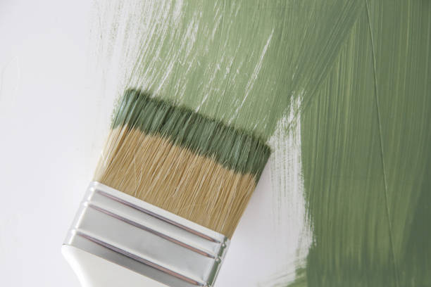 Best Emergency Mold Remediation  in Rose, LA