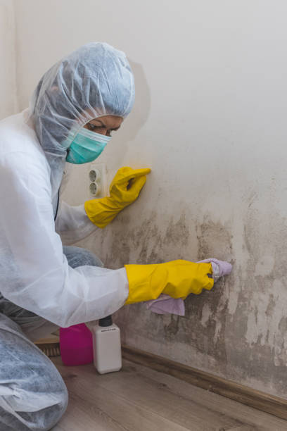 Best Forensic Mold Investigation  in Rose, LA