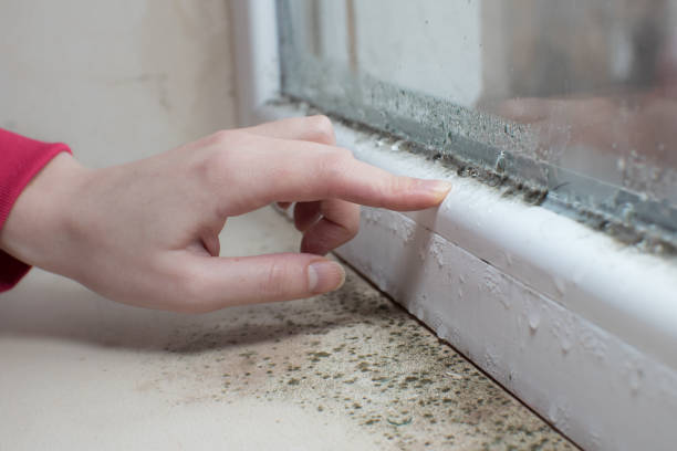 Best Post-Remediation Verification Testing  in Rose, LA