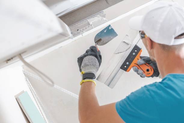 Best Mold Prevention Services  in Rose, LA